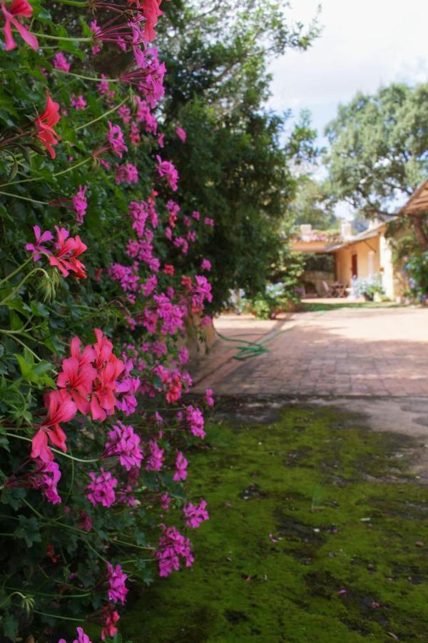 B&B Le Corti Di Aloa San Pantaleo Kültér fotó