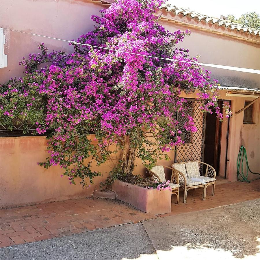 B&B Le Corti Di Aloa San Pantaleo Kültér fotó