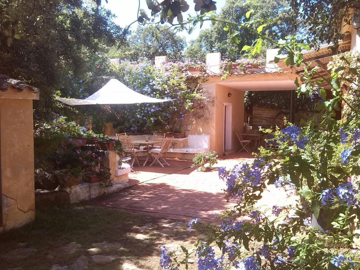 B&B Le Corti Di Aloa San Pantaleo Kültér fotó